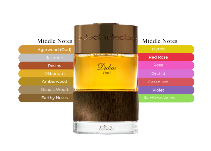 Oud fragrance notes visualization
